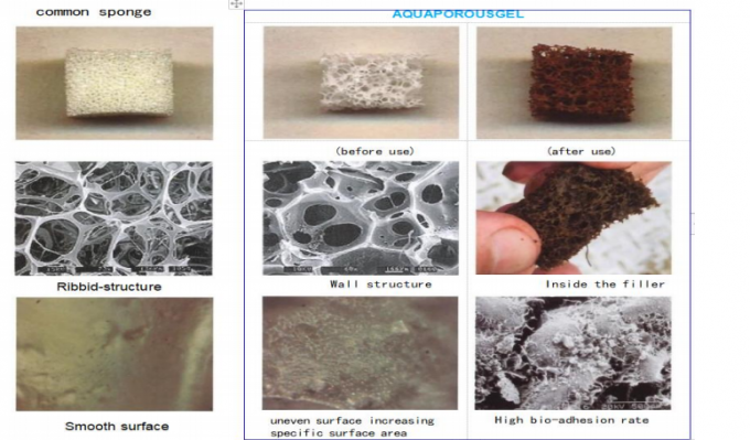 Effective COD Oxidation 20-150 Water Treatment Filler Nitrification ...